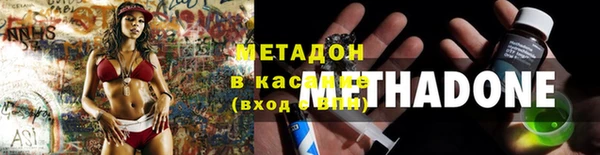 гашик Алексин