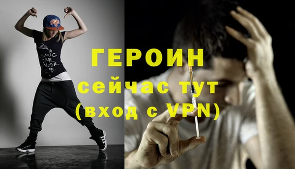 гашик Алексин