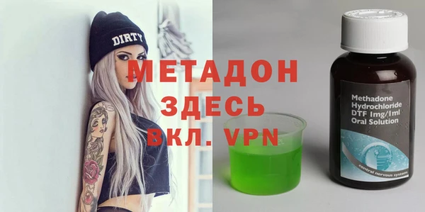 гашик Алексин