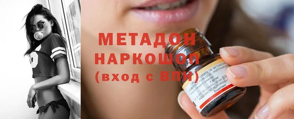 гашик Алексин