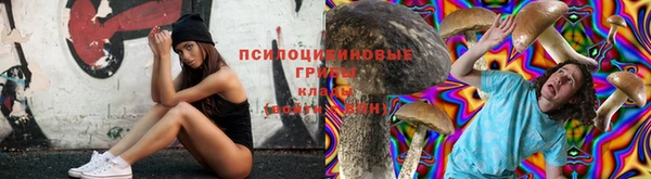 не бодяженный Алзамай