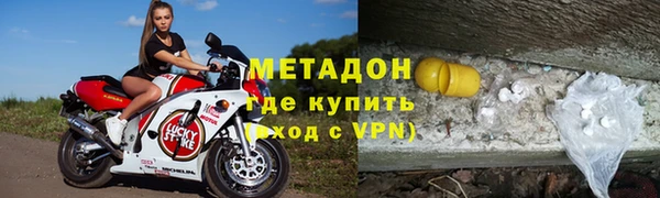 гашик Алексин